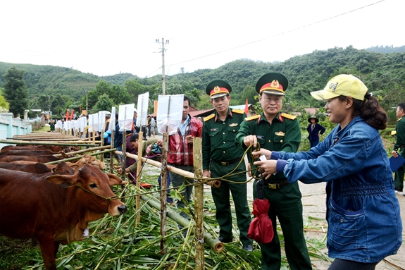 Đoàn Kinh tế-Quốc phòng 207 trao bò giống sinh sản tặng các hộ gia đình trên địa bàn xã La Êê và xã Chơ Chun (huyện Nam Giang, tỉnh Quảng Nam).