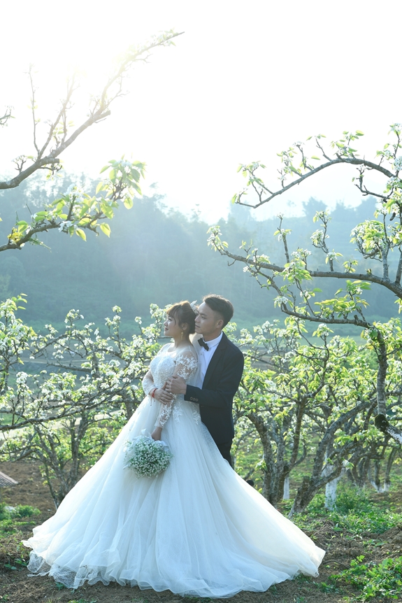 Trắng tinh khôi mùa hoa lê Bắc Hà