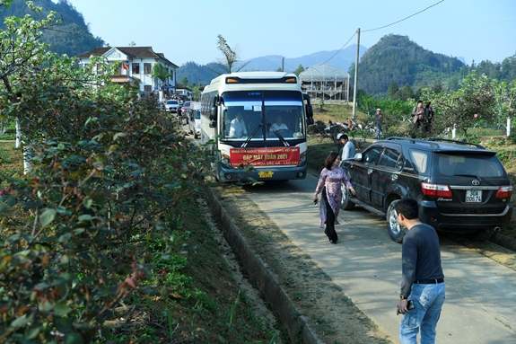 Trắng tinh khôi mùa hoa lê Bắc Hà
