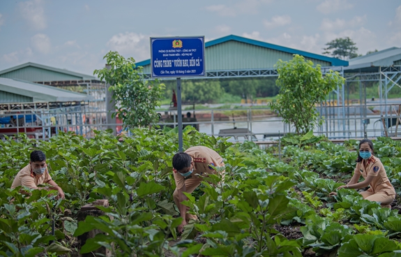 Ngay bên cạnh khu vực bến thủy nội địa, tổ chức đoàn thanh niên, hội phụ nữ của Phòng Cảnh sát đường thủy Công an TP Cần Thơ còn xây dựng mô hình tăng gia “Vườn rau, bến cá” trồng nhiều loại rau xanh, sạch.