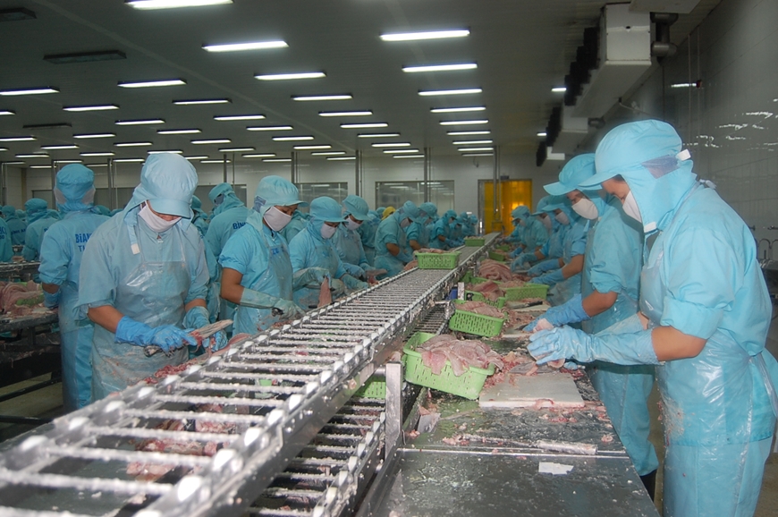 Công nhân ở một nhà máy chế biến thủy sản tại thành phố Cần Thơ. Ảnh NGUYỄN KIỂM