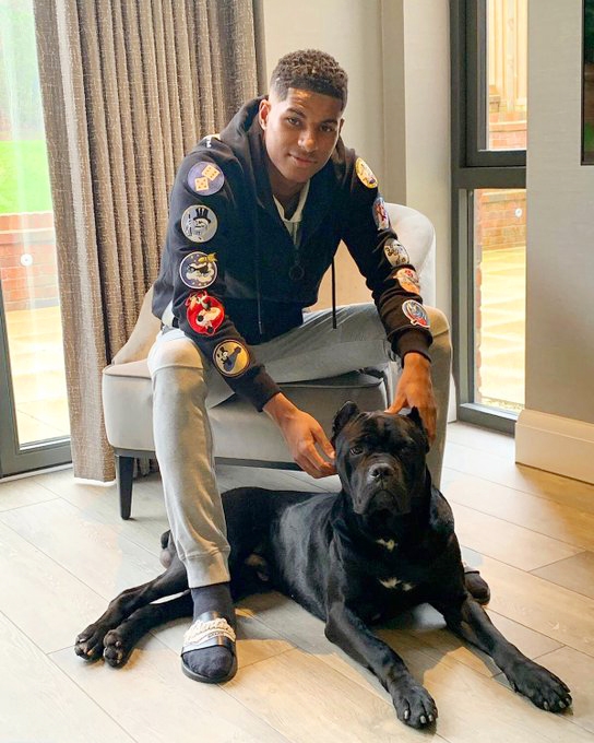 M.Rashford sở hữu một chú chó bảo vệ. Ảnh: nytimes