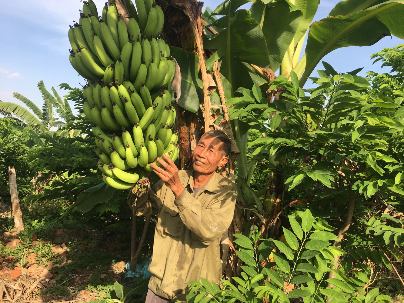 Thương binh là lão nông