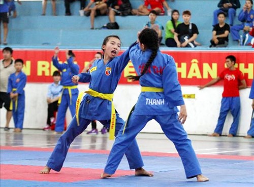 第25届全国越武道锦标赛开幕